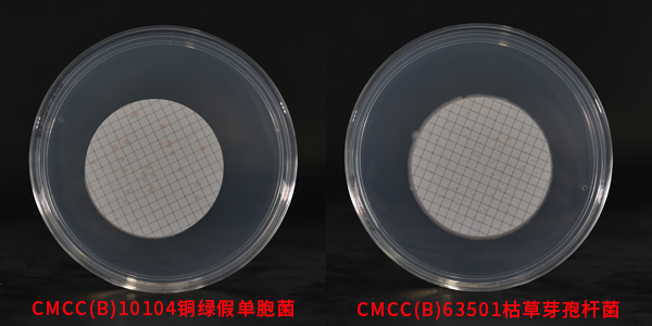 R2A瓊脂培養基對應菌種生物圖冊