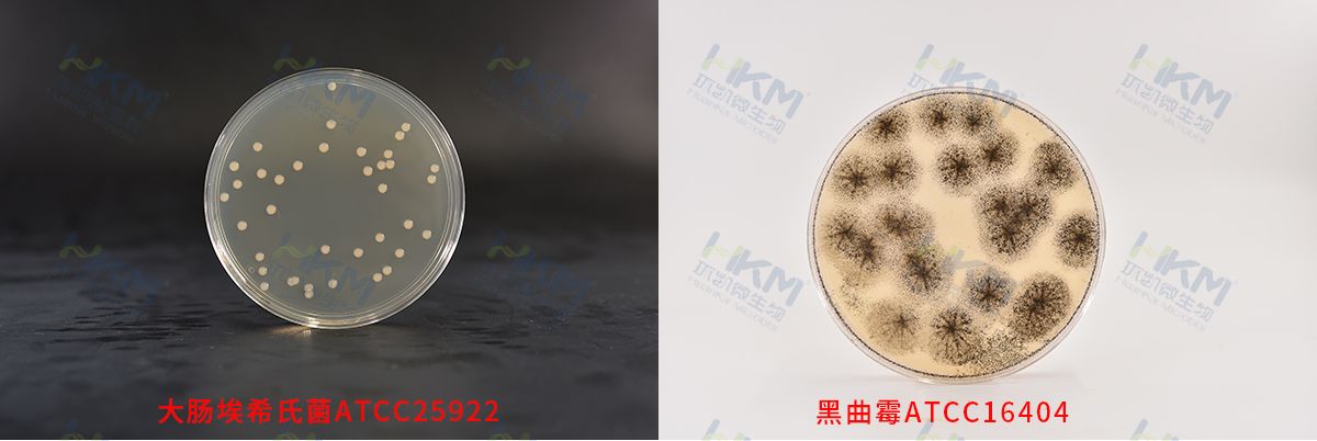 TSA(90mm)平皿(三層無(wú)菌包裝)生物圖冊