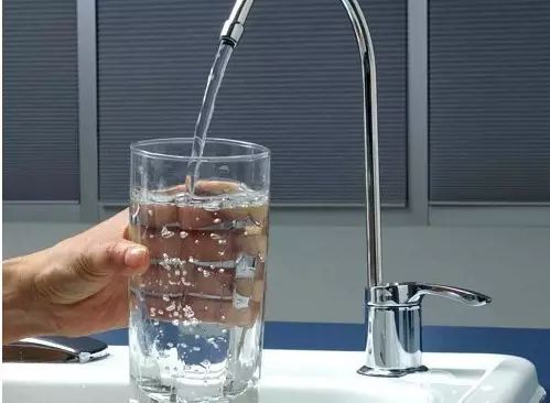 銅綠假單胞菌如何進(jìn)入飲用水中的？