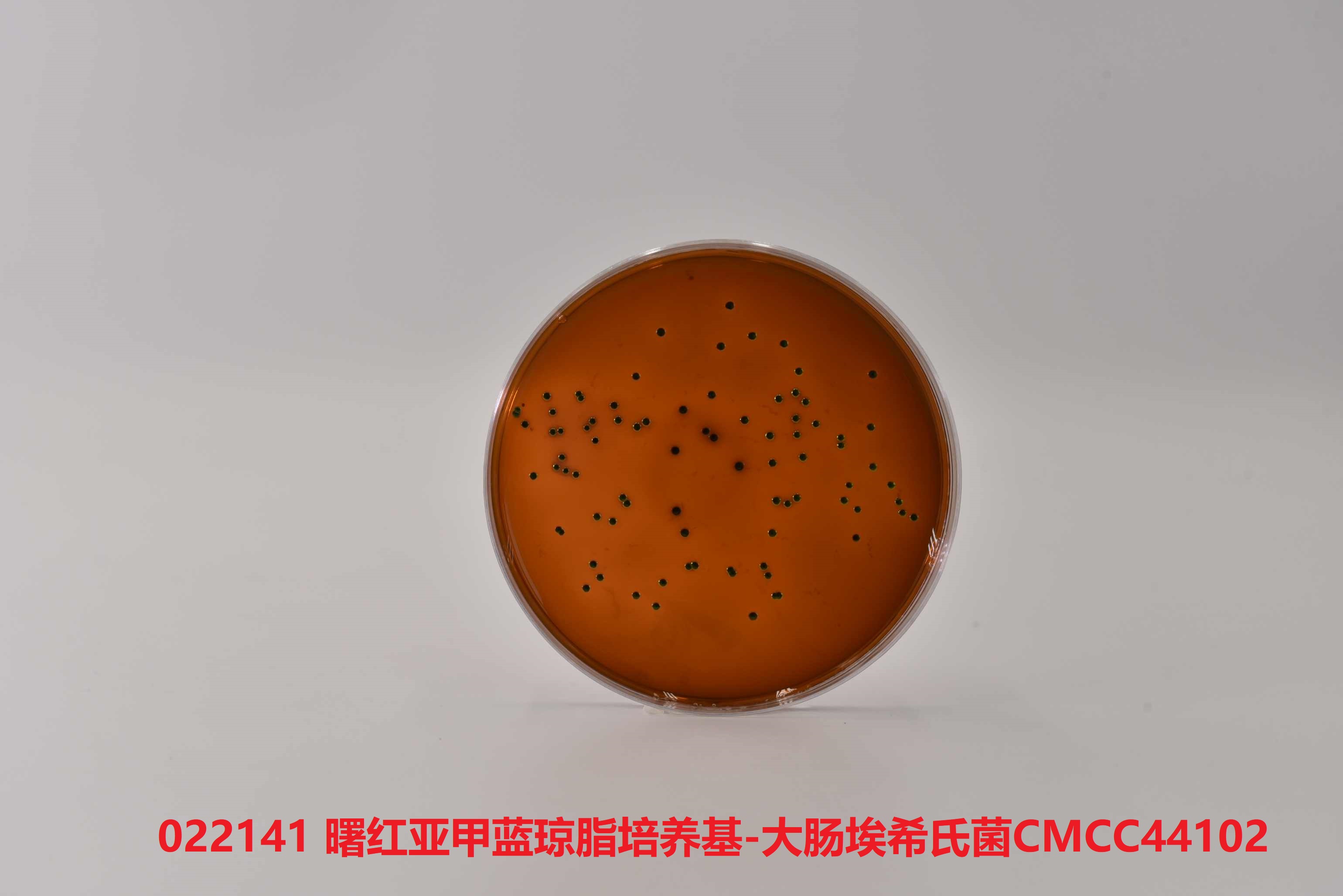 曙紅亞甲藍瓊脂培養基(EMB)測試大腸埃希氏菌CMCC(B)44102