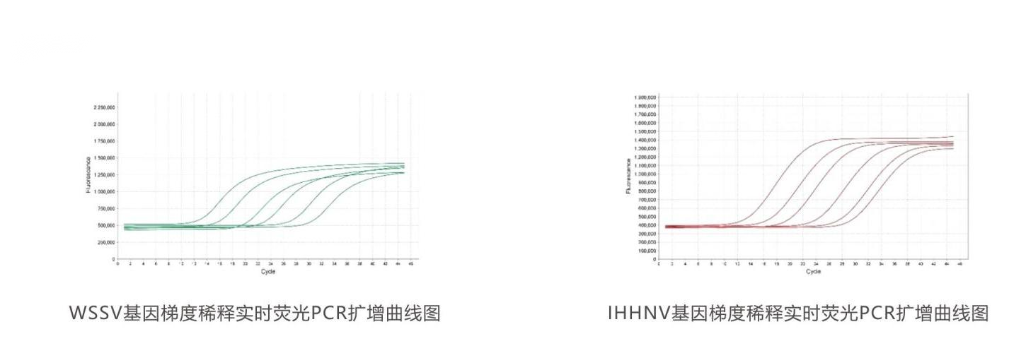 實(shí)時(shí)熒光PCR檢測試劑盒結果判讀