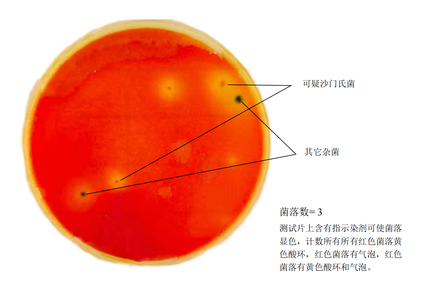 沙門(mén)氏菌測試片判讀手冊