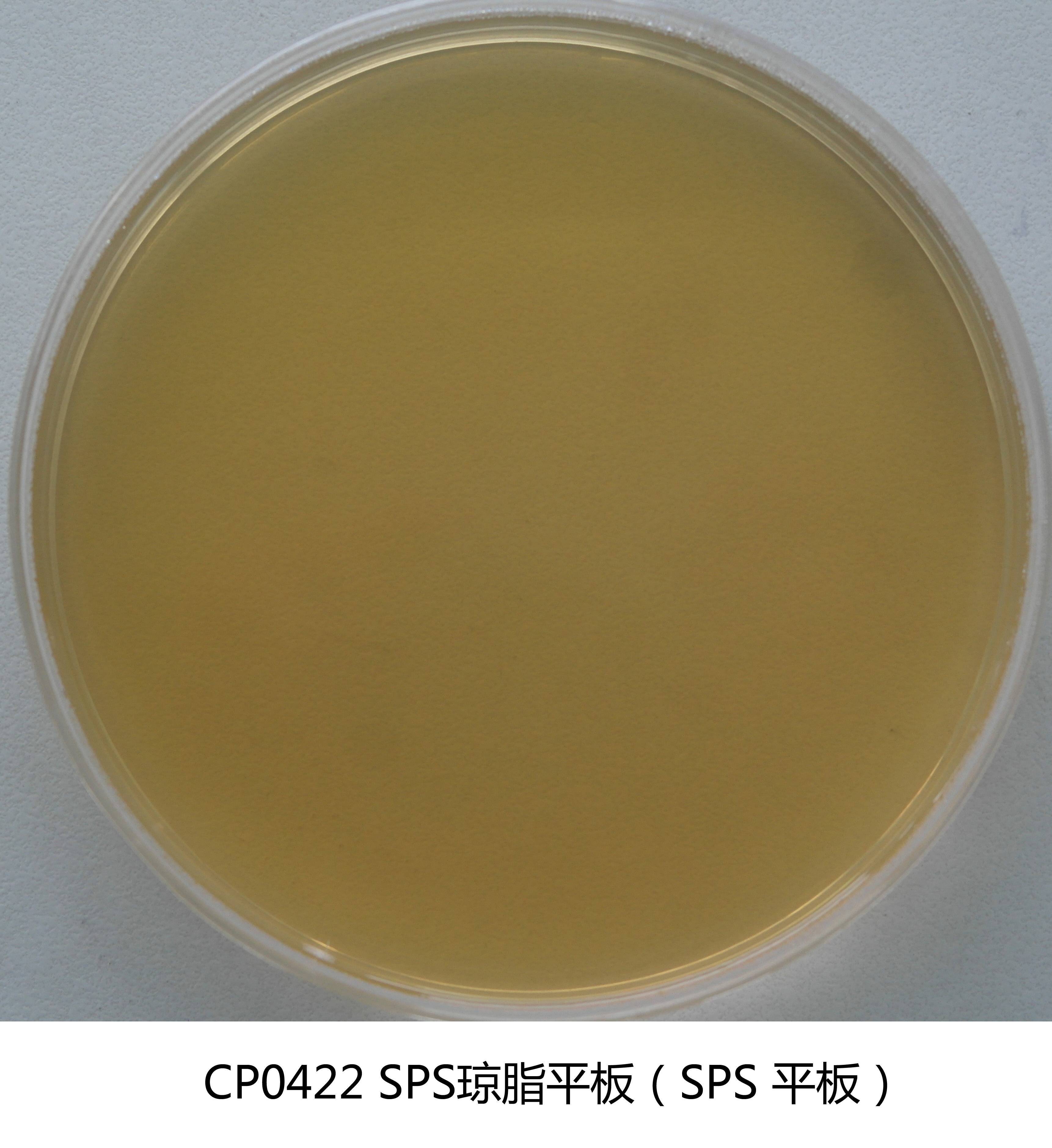 SPS瓊脂平板培養基(亞硫酸鹽-多粘菌素-磺胺嘧啶瓊脂) 90mm×20個(gè)