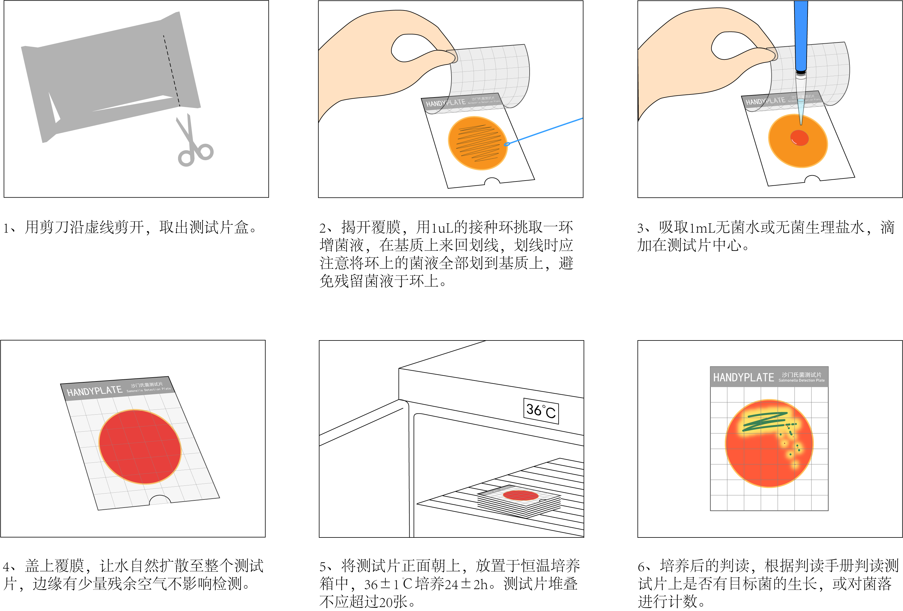 Handy plate®沙門(mén)氏菌測試片 操作圖解